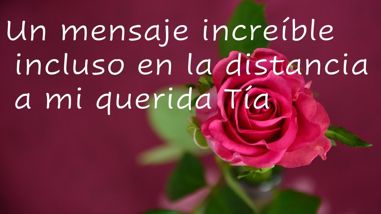carta para mi tia que esta lejos