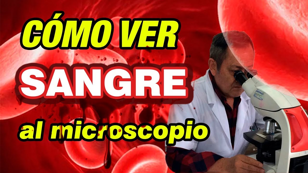 con que microscopio se ven los globulos rojos
