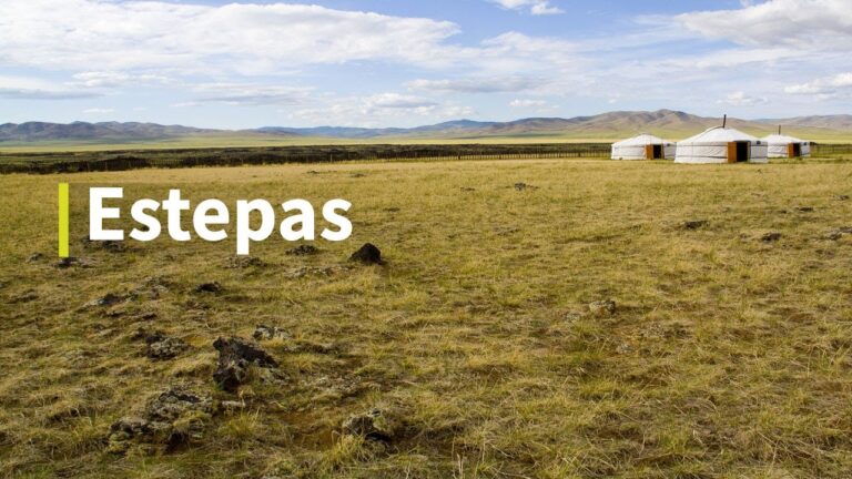 Descubre la Flora y Fauna de la Estepa: Especies y Características