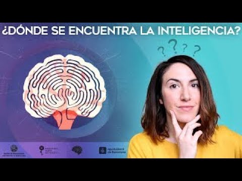 en que parte del cerebro esta la inteligencia