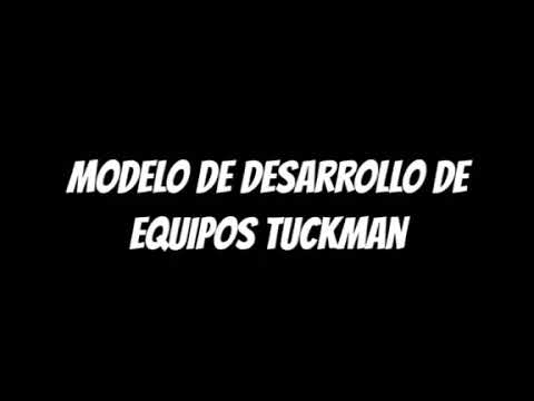 etapas psicosociales que marcan la evolucion de los grupos