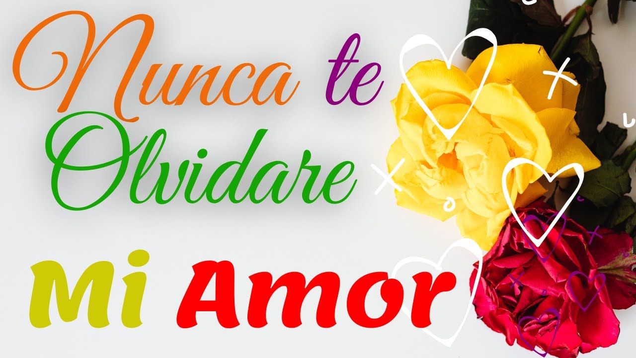 frases nunca te olvidare mi amor