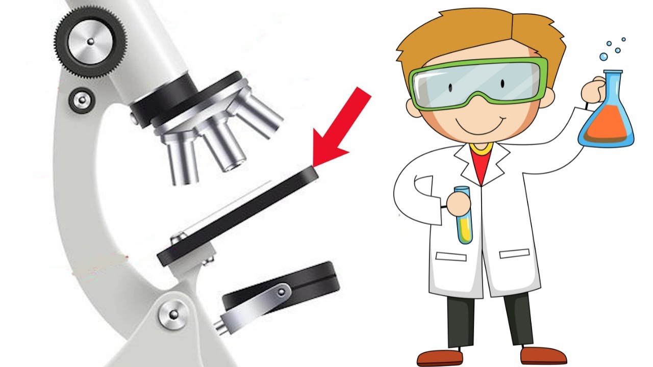 funcion de los tornillos micrométricos y micrometricos