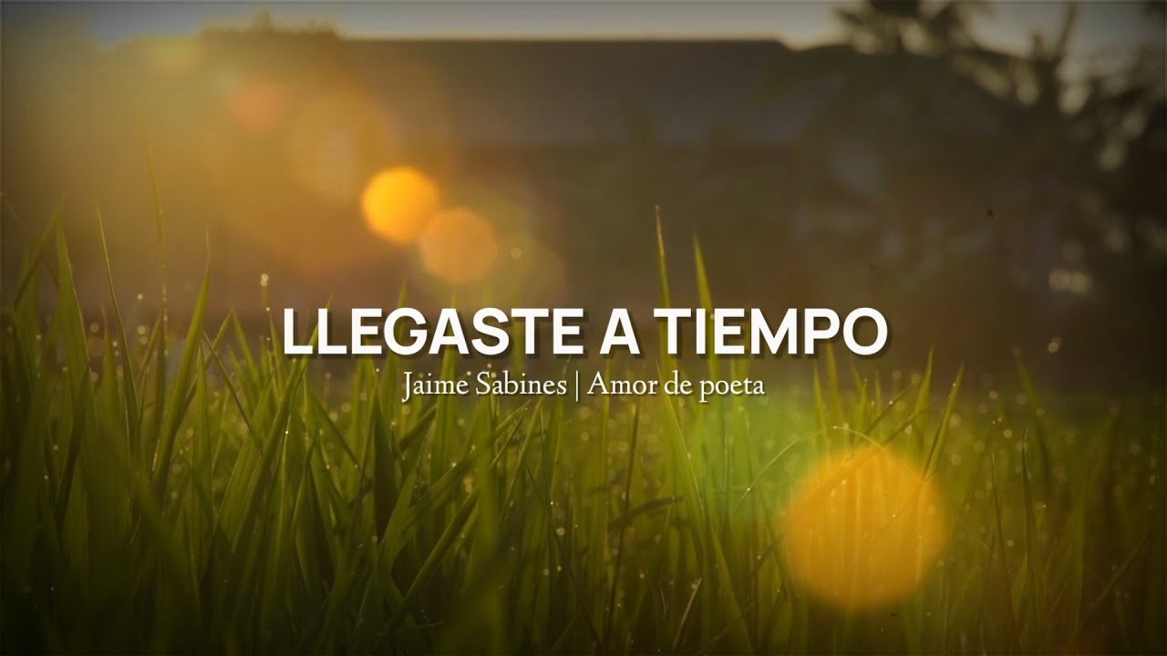 jaime sabines poemas cortos de amor