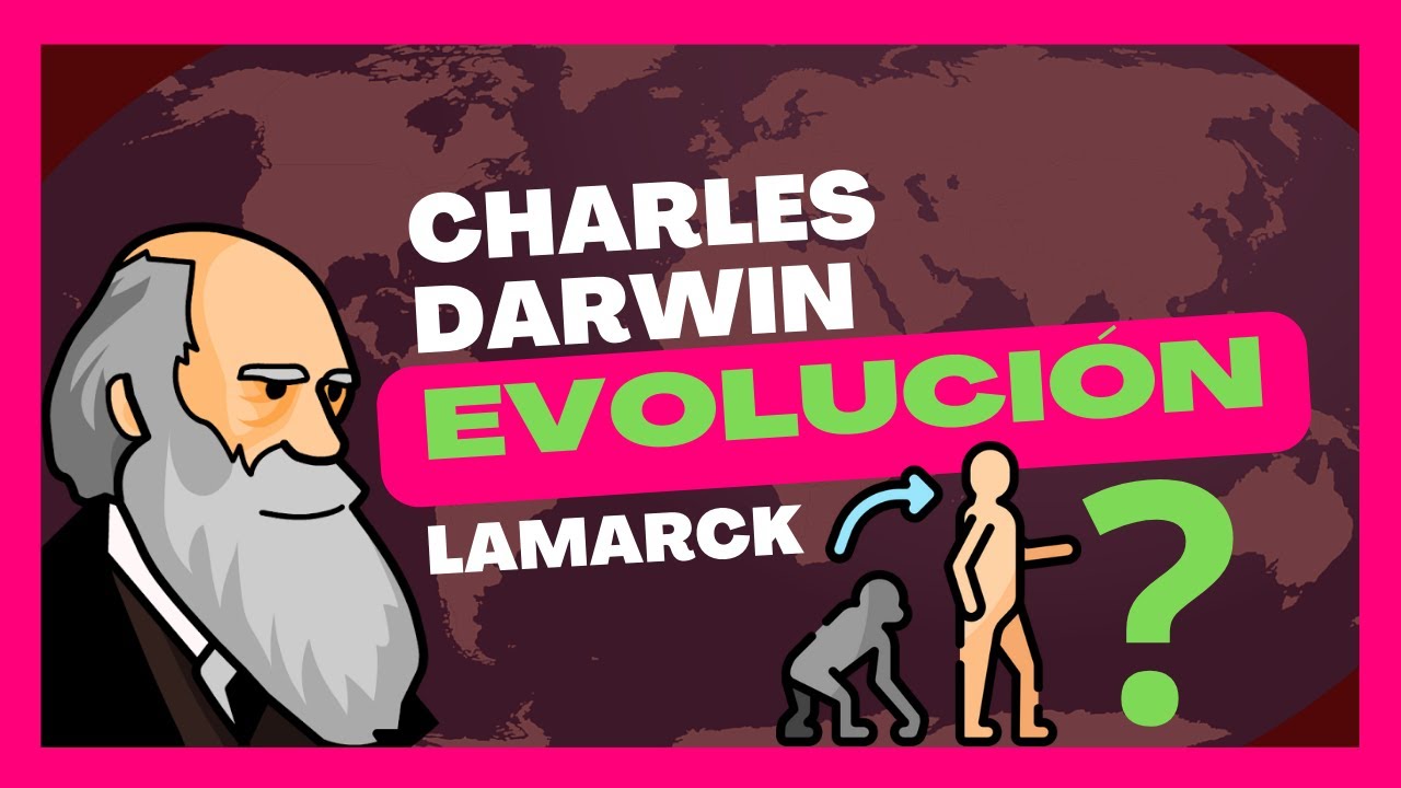 linea del tiempo teorias de la evolucion