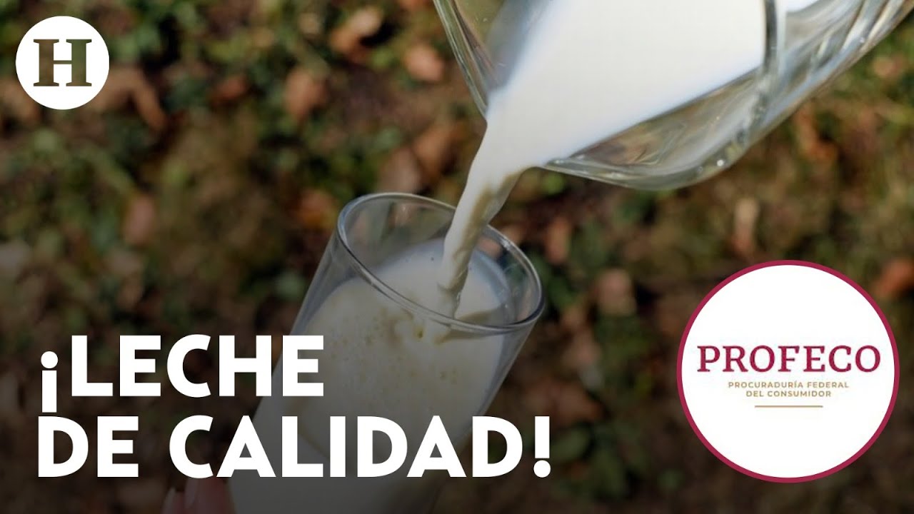 mejor leche para niños de 1 a 3 años profeco
