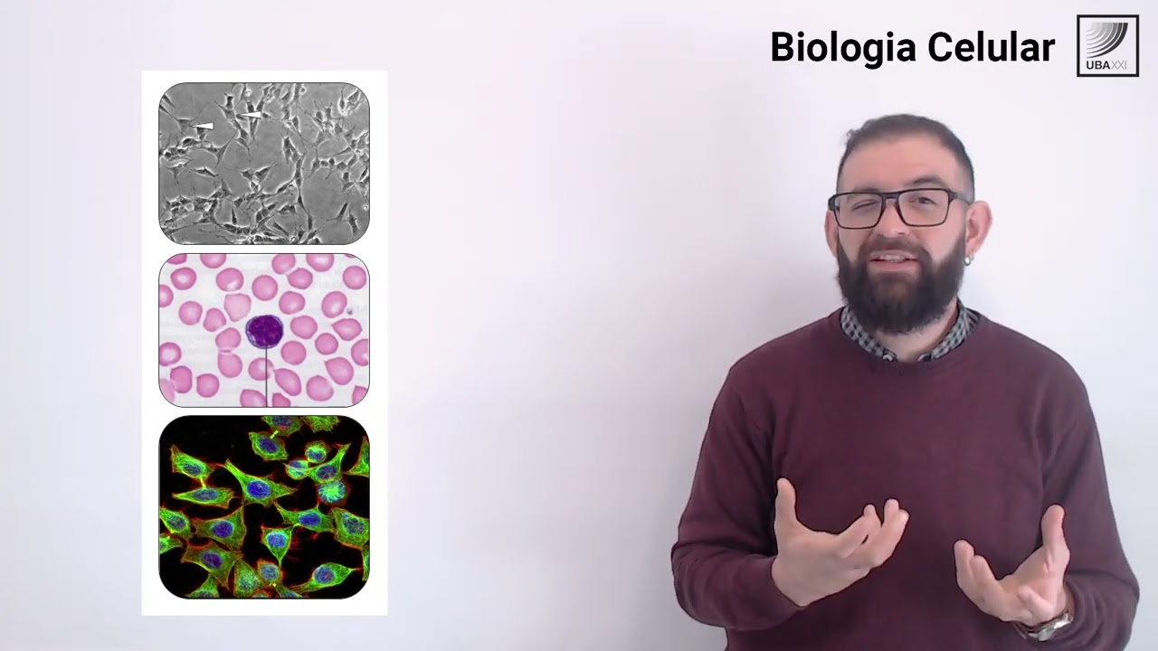 que tipos de objetivos puede tener un microscopio compuesto