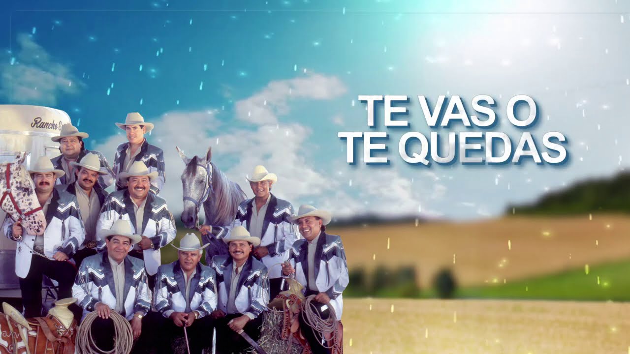 tu sabras si te vas o te quedas