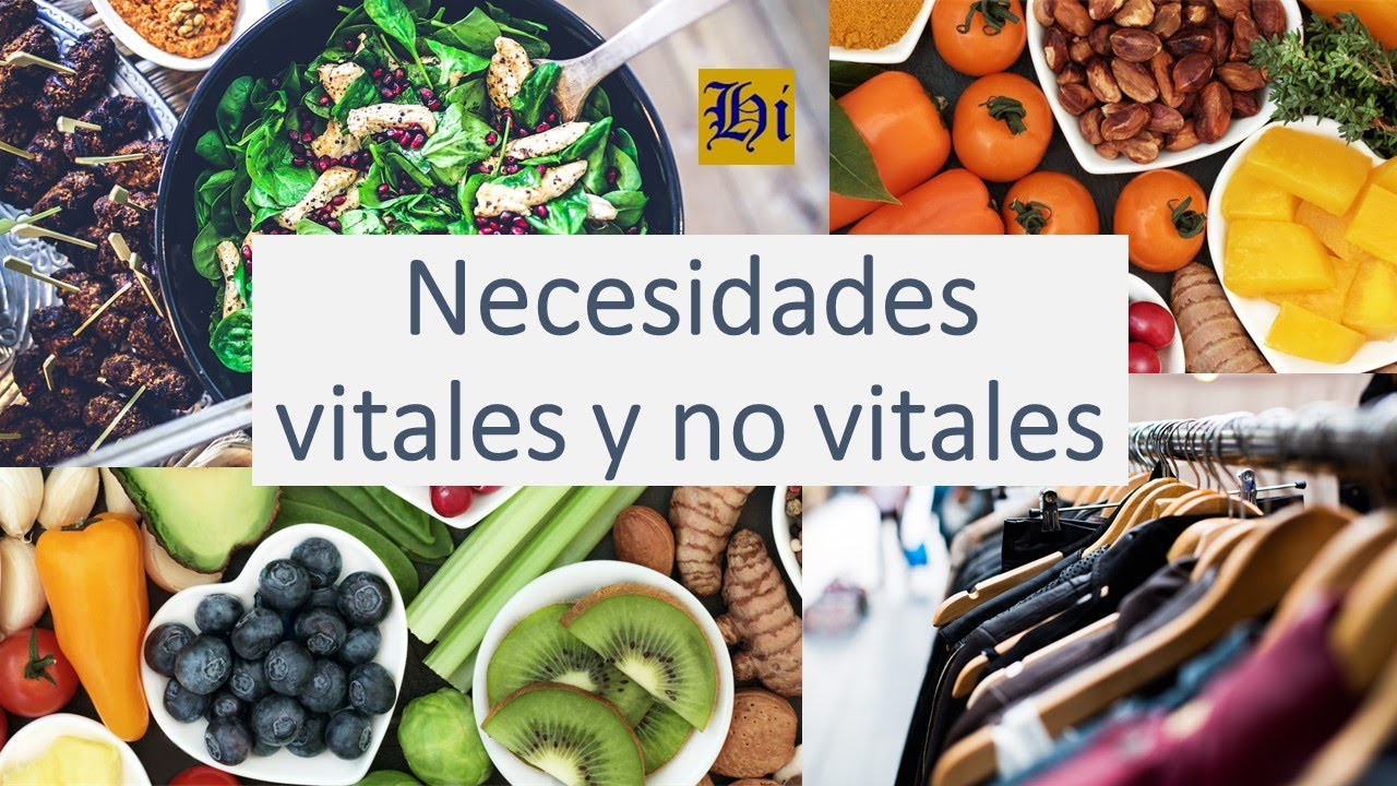 cuales son las necesidades vitales y no vitales