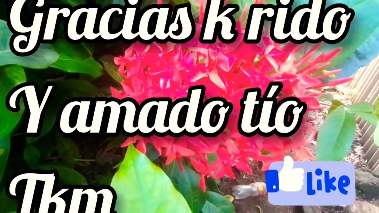 frases para un tio muy querido