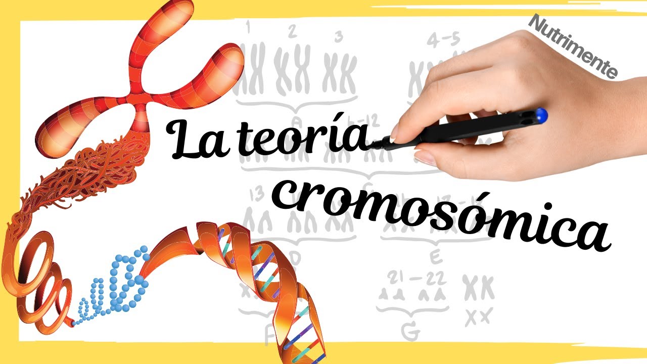 la herencia de la teoría ecológica de bronfenbrenner