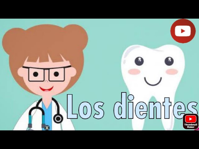 partes de los dientes de la boca