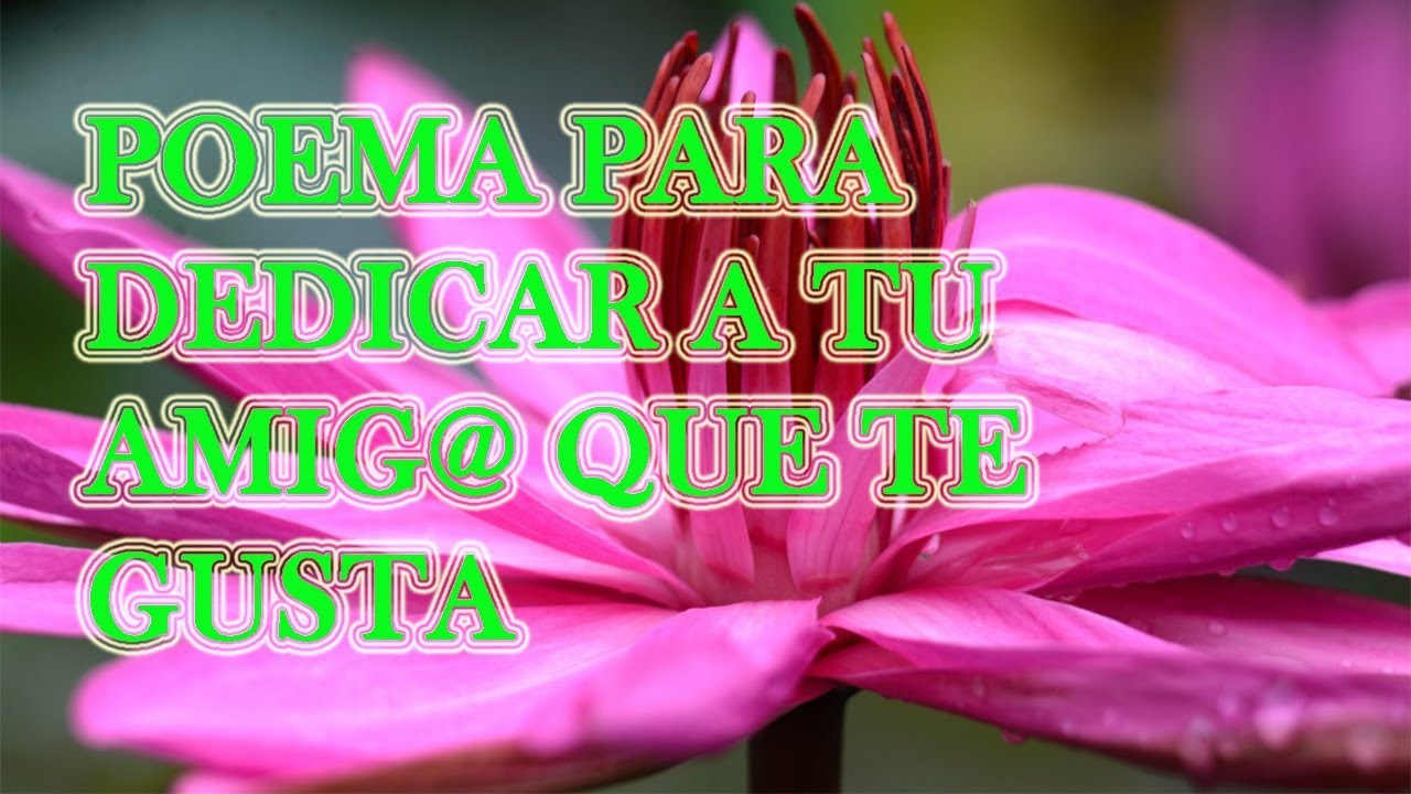 poemas para enamorar a una amiga