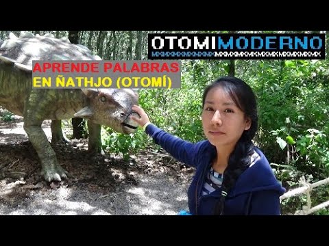 10 palabras en otomí y su significado
