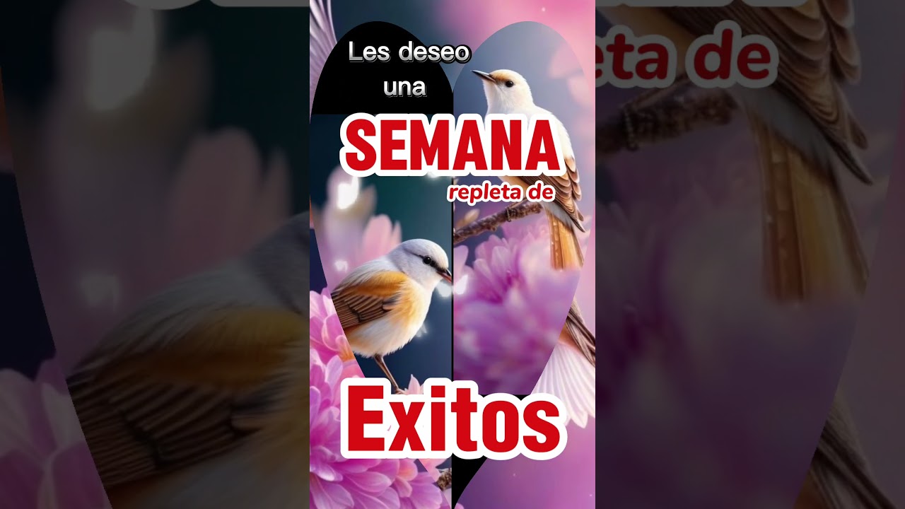 buenos dias feliz y bendecido lunes