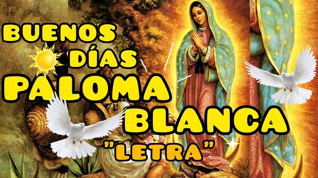 buenos días paloma blanca letra completa