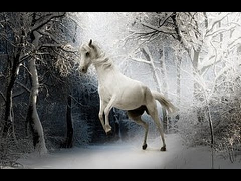 caballo de los sueños pablo neruda