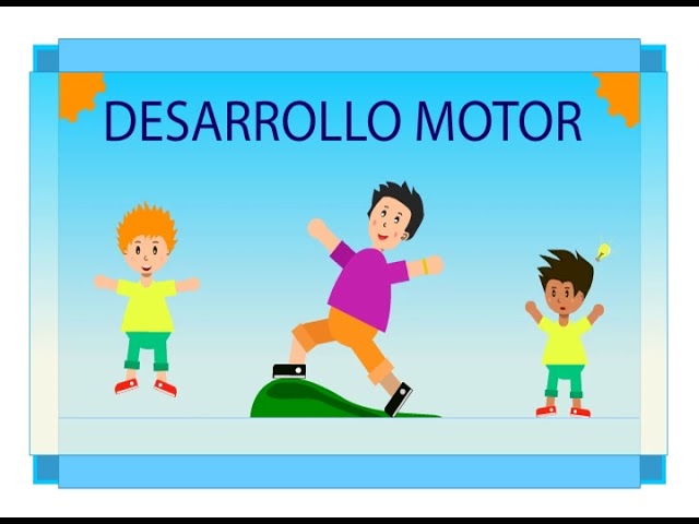 etapas del desarrollo motriz del ser humano