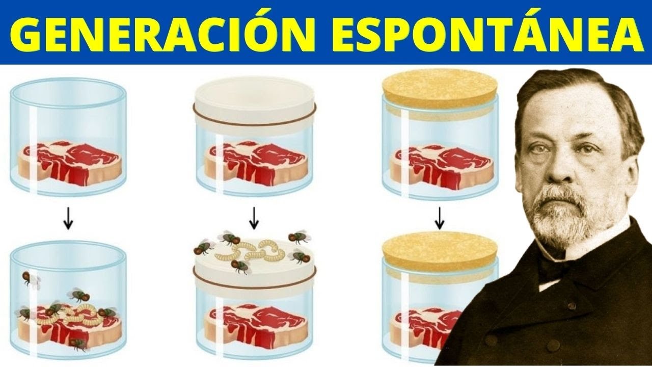 experimentos de redi spallanzani y pasteur
