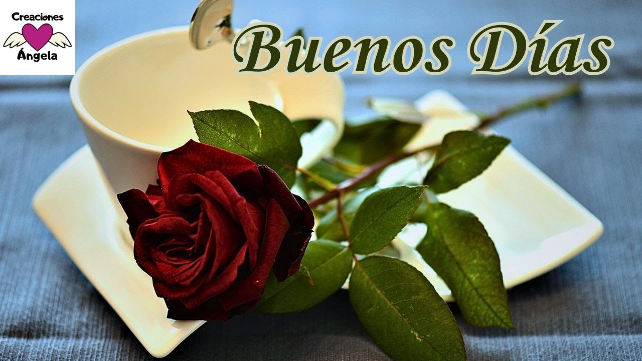 frases de buenos dias con movimiento y brillo
