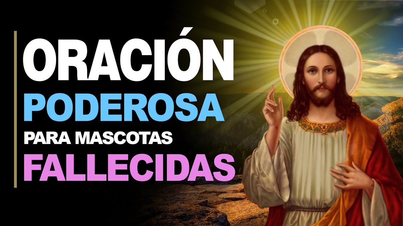 frases para un perro amigo que murio