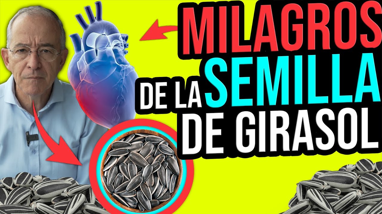 la semilla de girasol tiene proteina