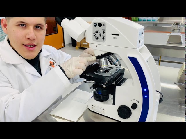 reporte de practica de laboratorio microscopio