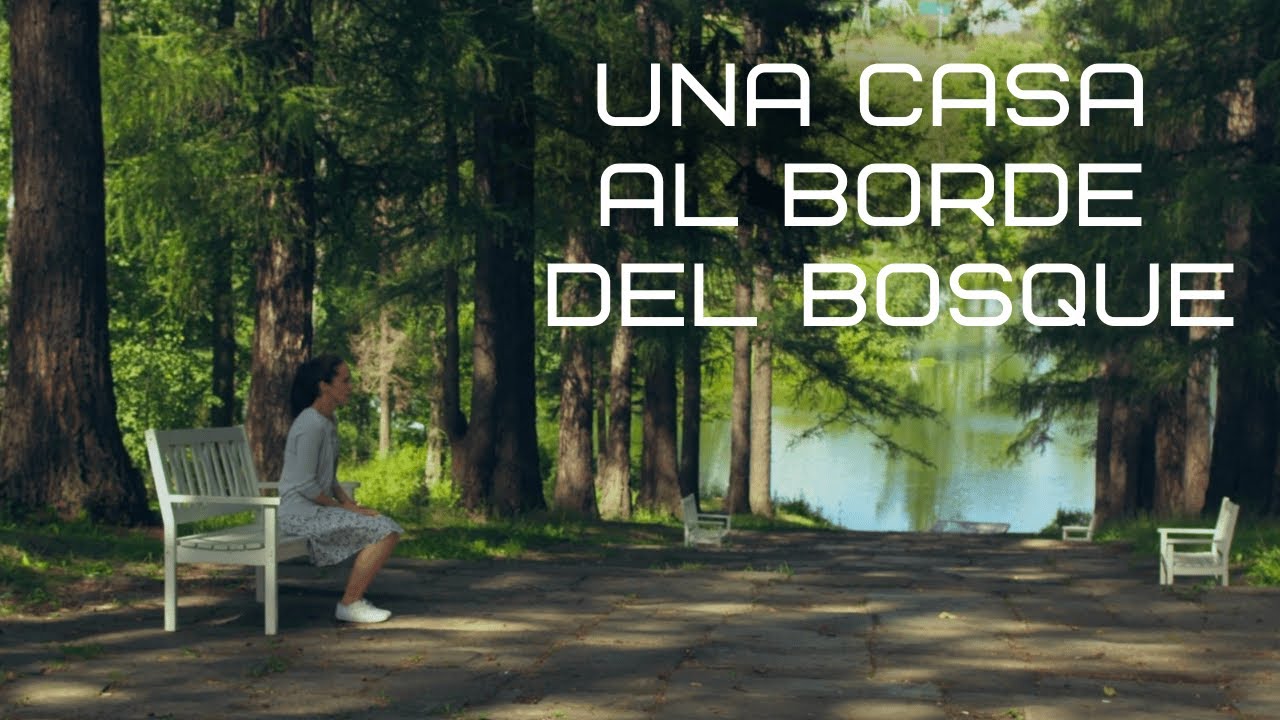 casas a la orilla del mar