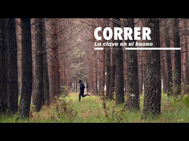 cuanto corre un boxeador por dia