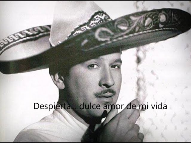 despierta dulce amor de mi vida letra