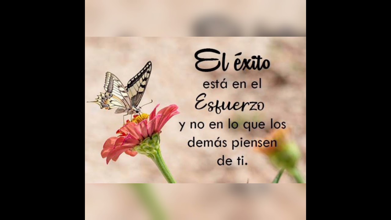 fondo de pantalla con frases positivas