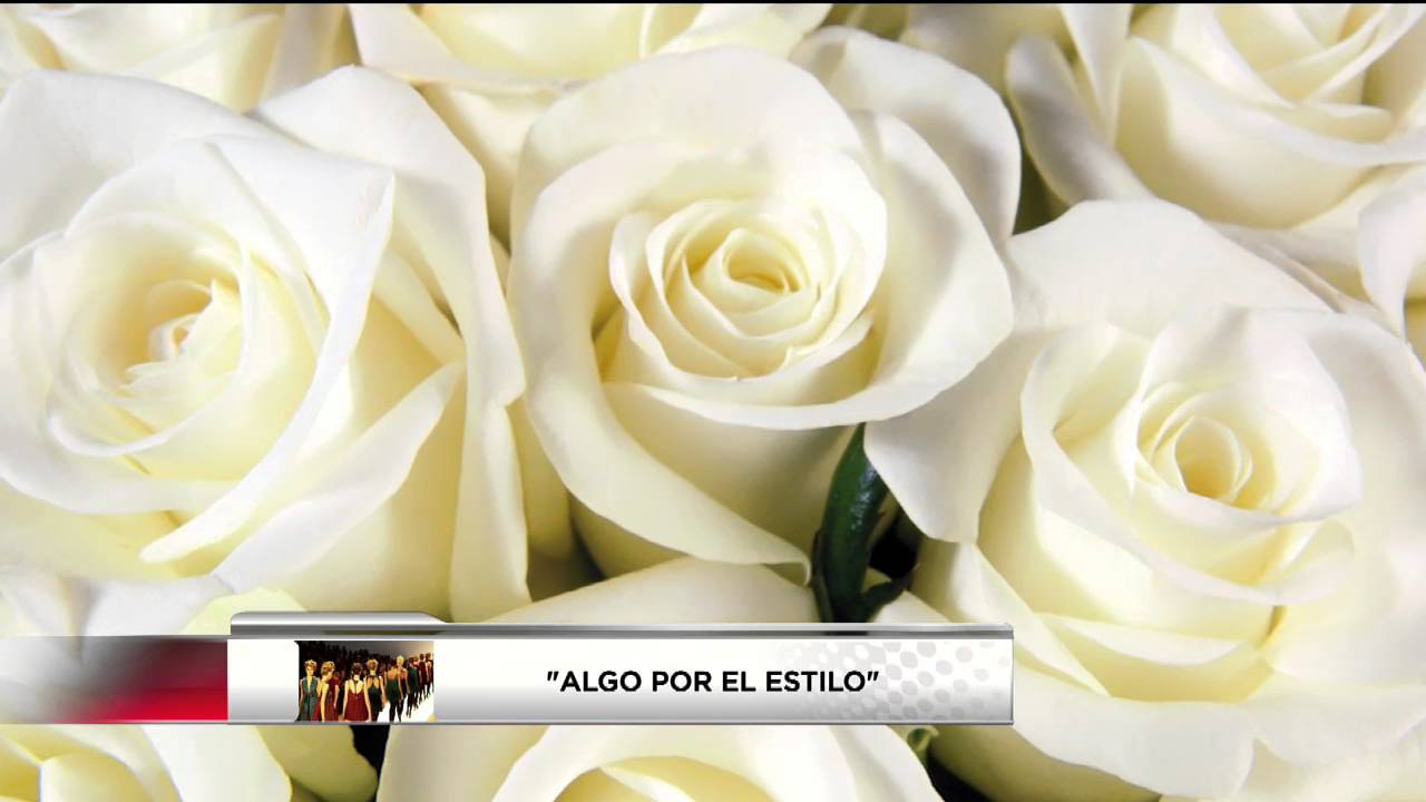 frases para regalar flores a mama