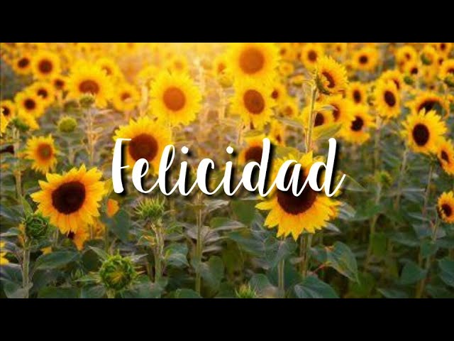 poemas de felicidad cortos con rima