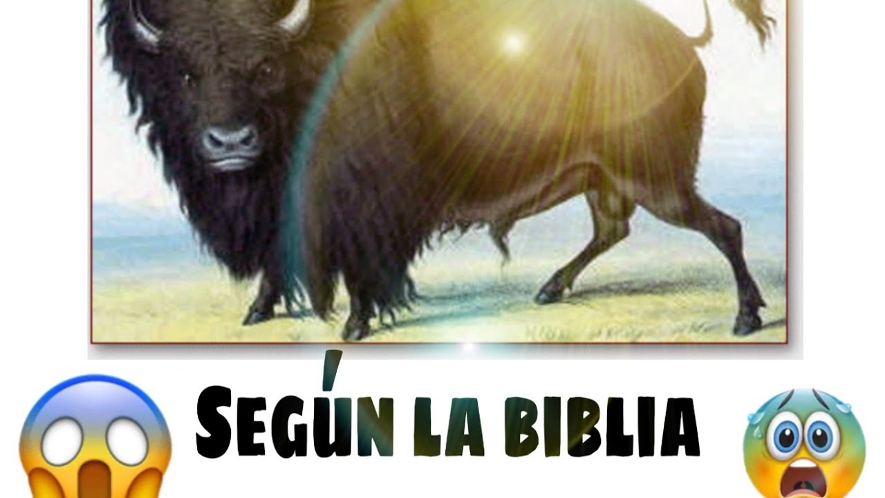 caracteristicas del bufalo en la biblia