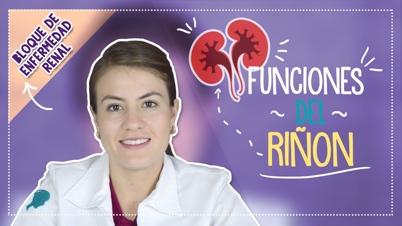 cuales son las principales funciones del riñon