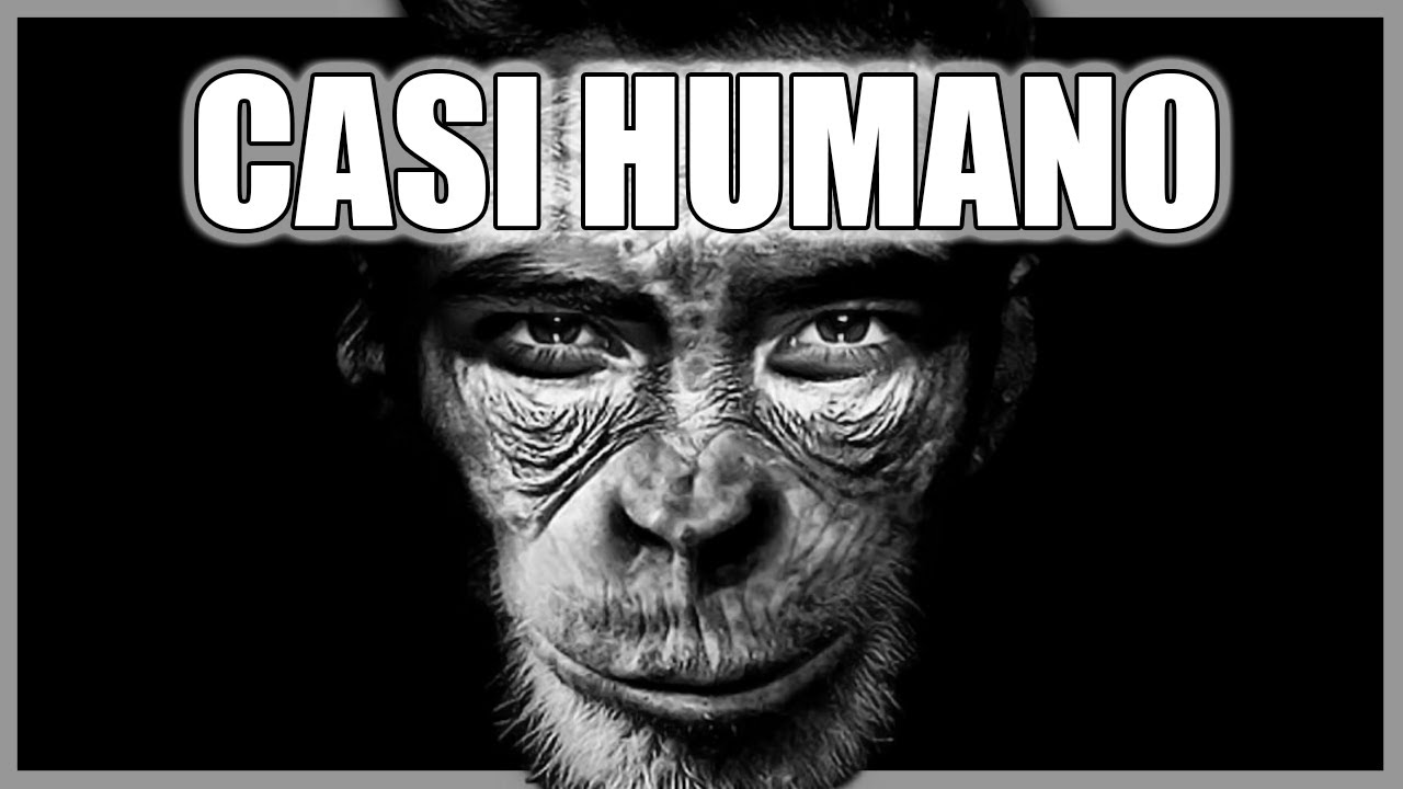 eres mas inteligente que un chimpance
