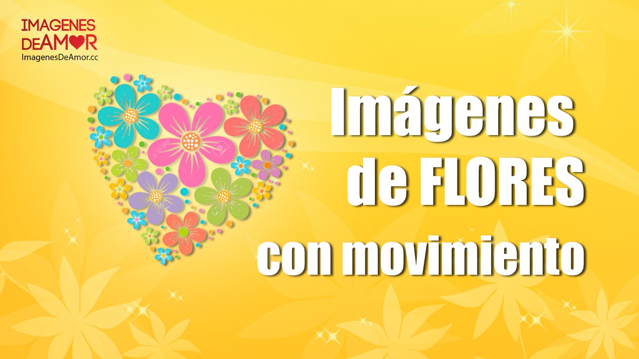 flores con movimiento y brillo con frases