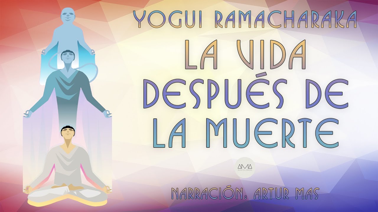 la vida despues de la muerte novela