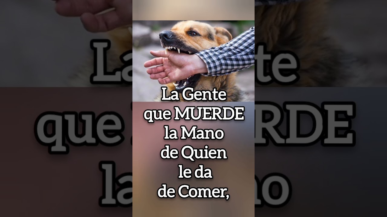 reflexion frases de gente mal agradecida