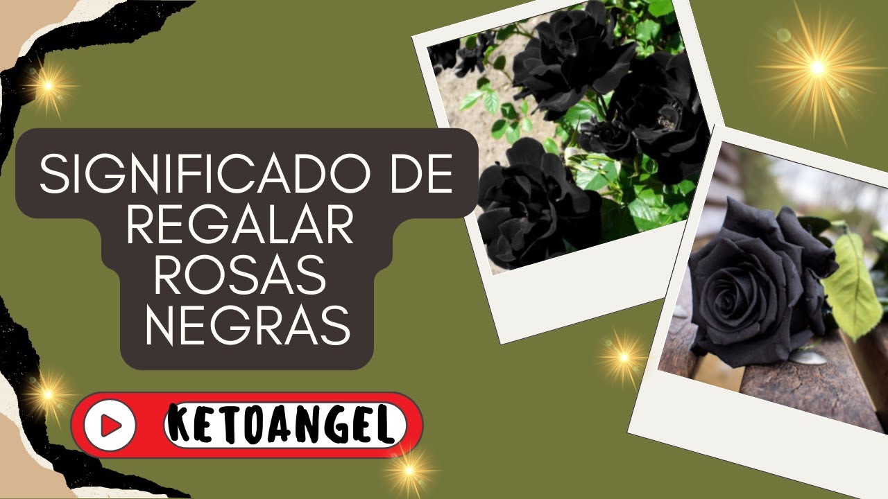 rosas negras con frases de amor