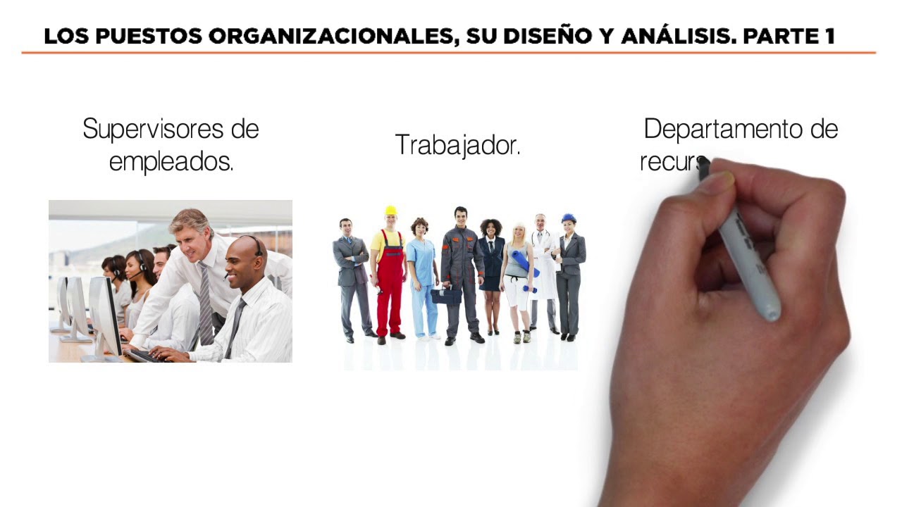 tipos de puestos en una empresa