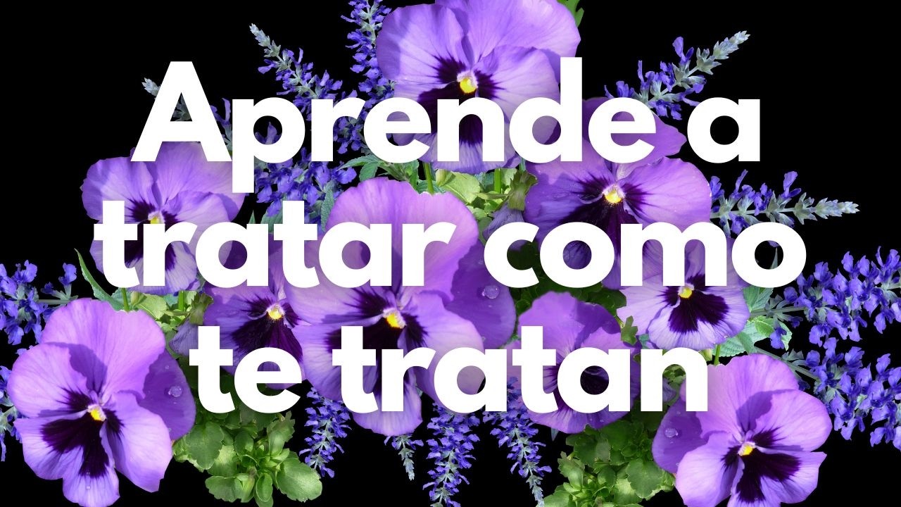 aprender a tratar como te tratan