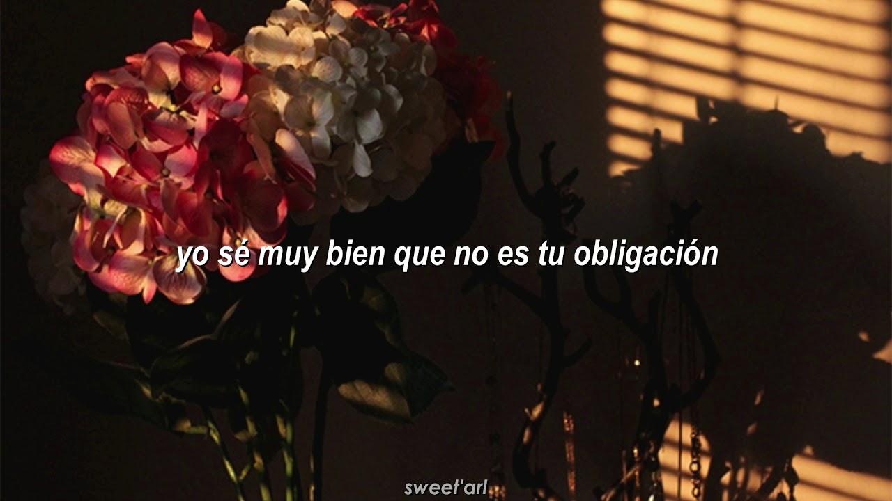 quiero ver tu risa todo el día letra