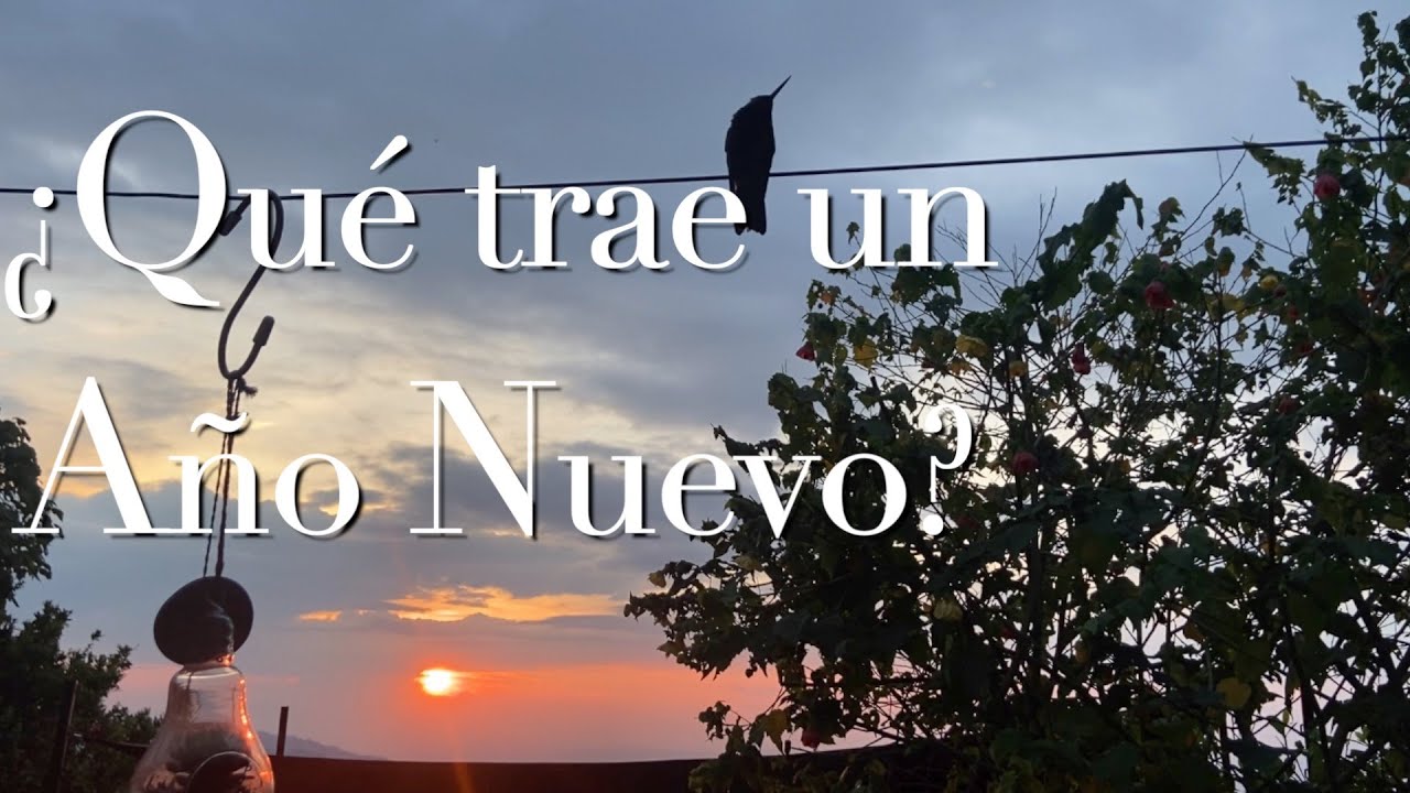 reflexiones para iniciar el año nuevo