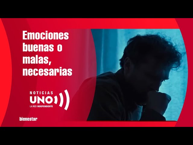 sentimiento agradable debido a algo placentero