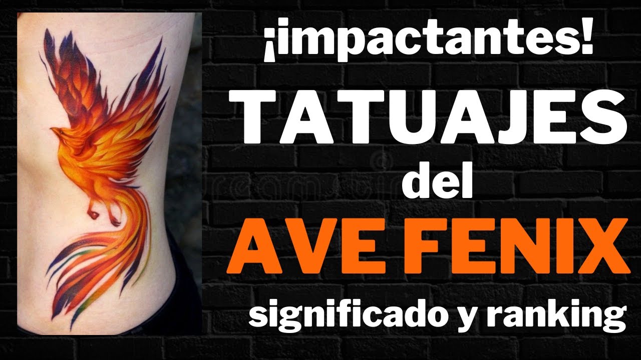 tatuajes de aves en el brazo